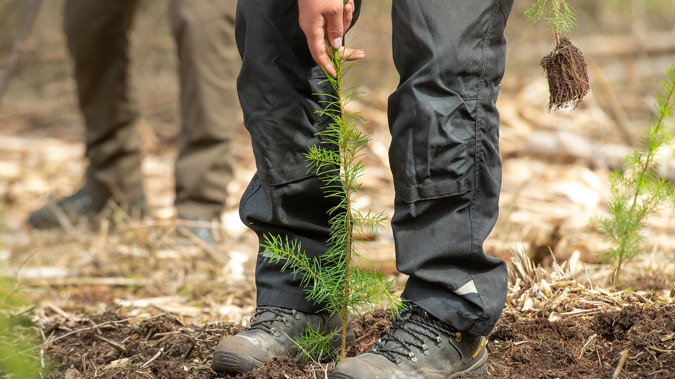 Douglas Hout; Duurzaam, Voordelig en Eenvoudig!