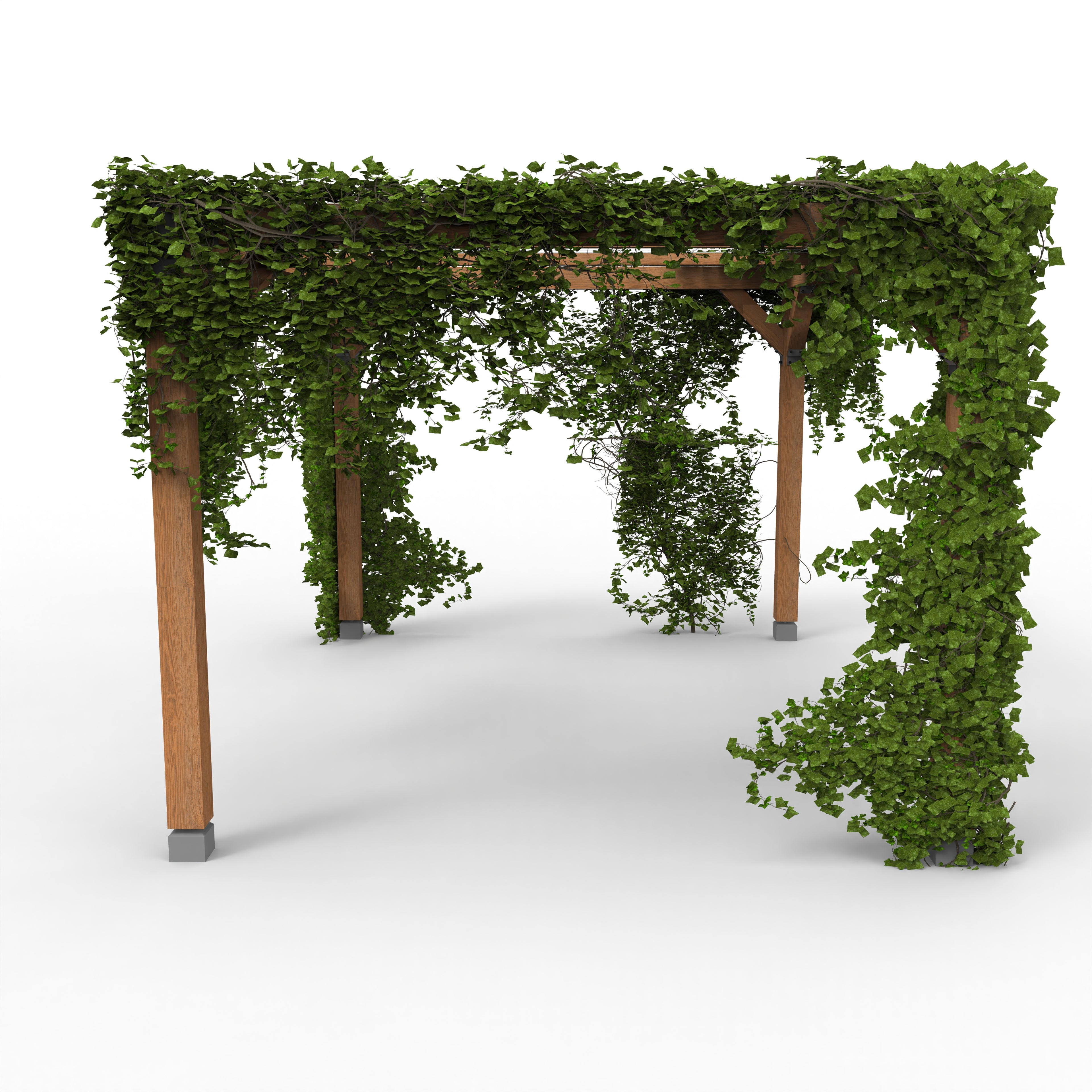 Pergola met Klimplant en Gaasdak | Vrijstaand - Rijpex