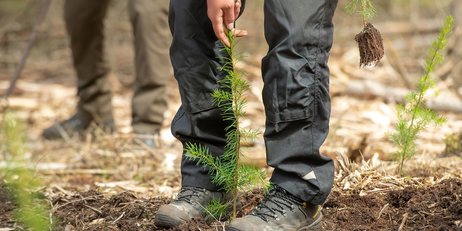 Douglas Hout; Duurzaam, Voordelig en Eenvoudig!