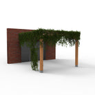 Pergola met Klimplant en Gaasdak | Gevel gemonteerd - Rijpex