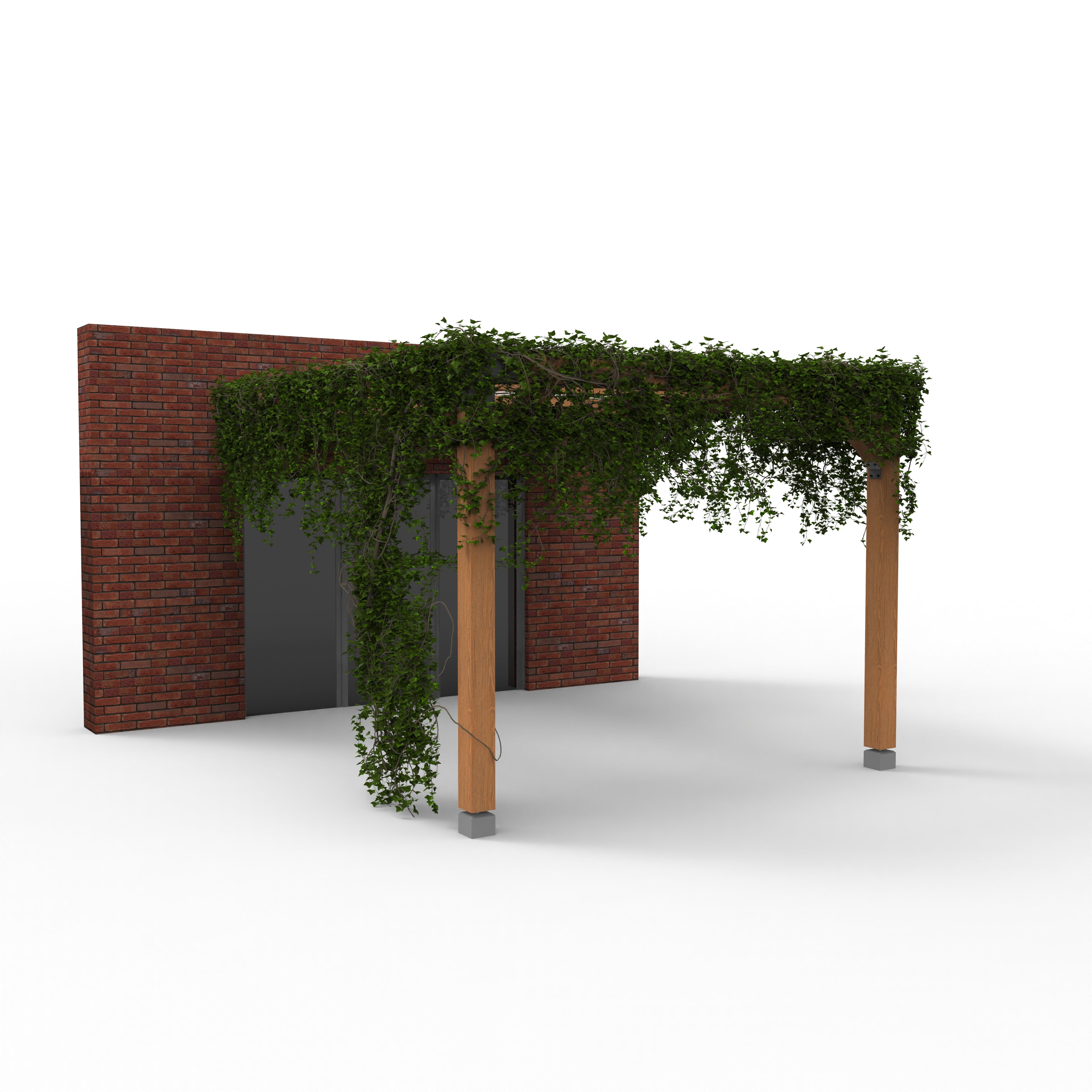 Pergola met Klimplant en Gaasdak | Gevel gemonteerd - Rijpex