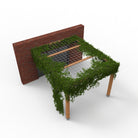 Pergola met Klimplant en Gaasdak | Gevel gemonteerd - Rijpex