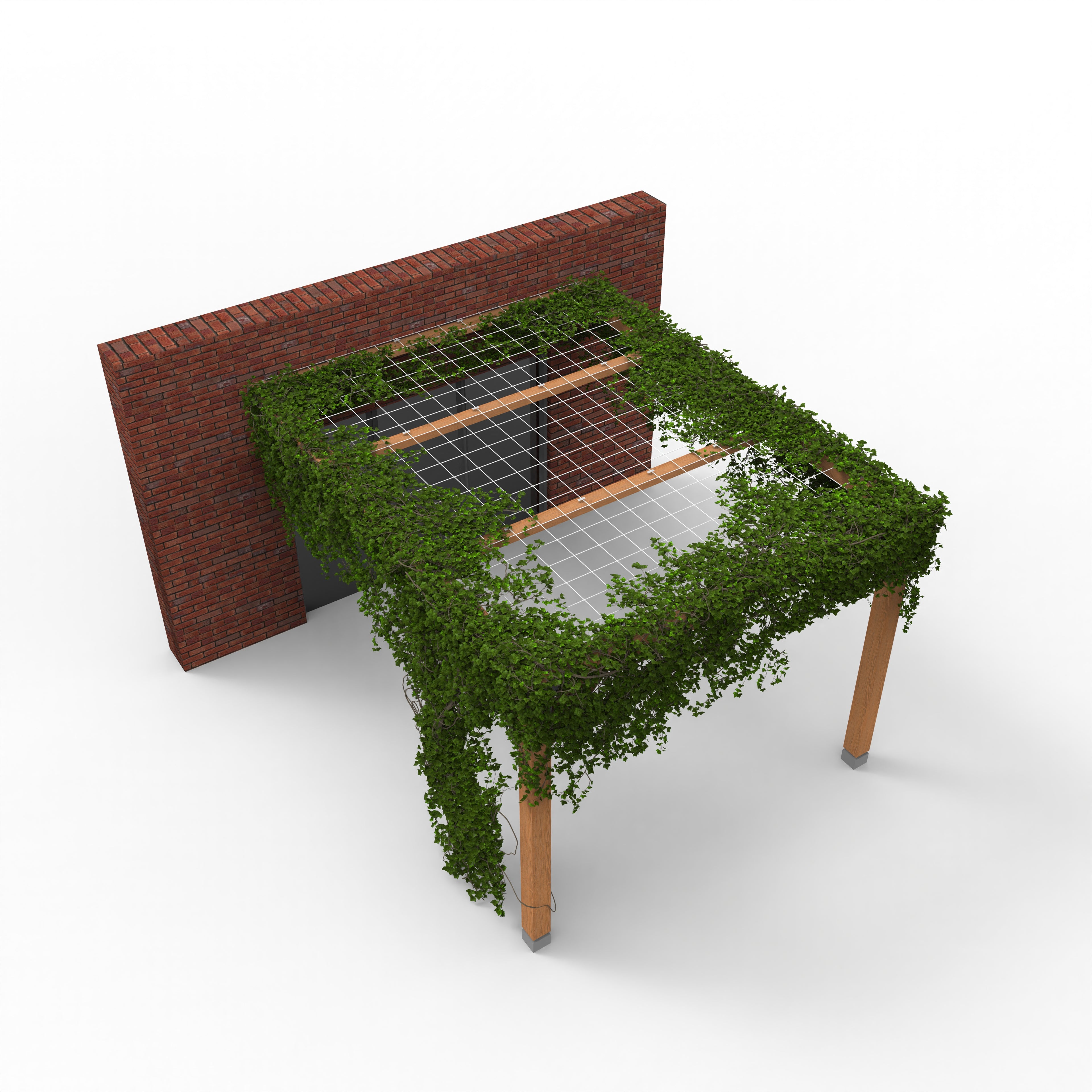 Pergola met Klimplant en Gaasdak | Gevel gemonteerd - Rijpex