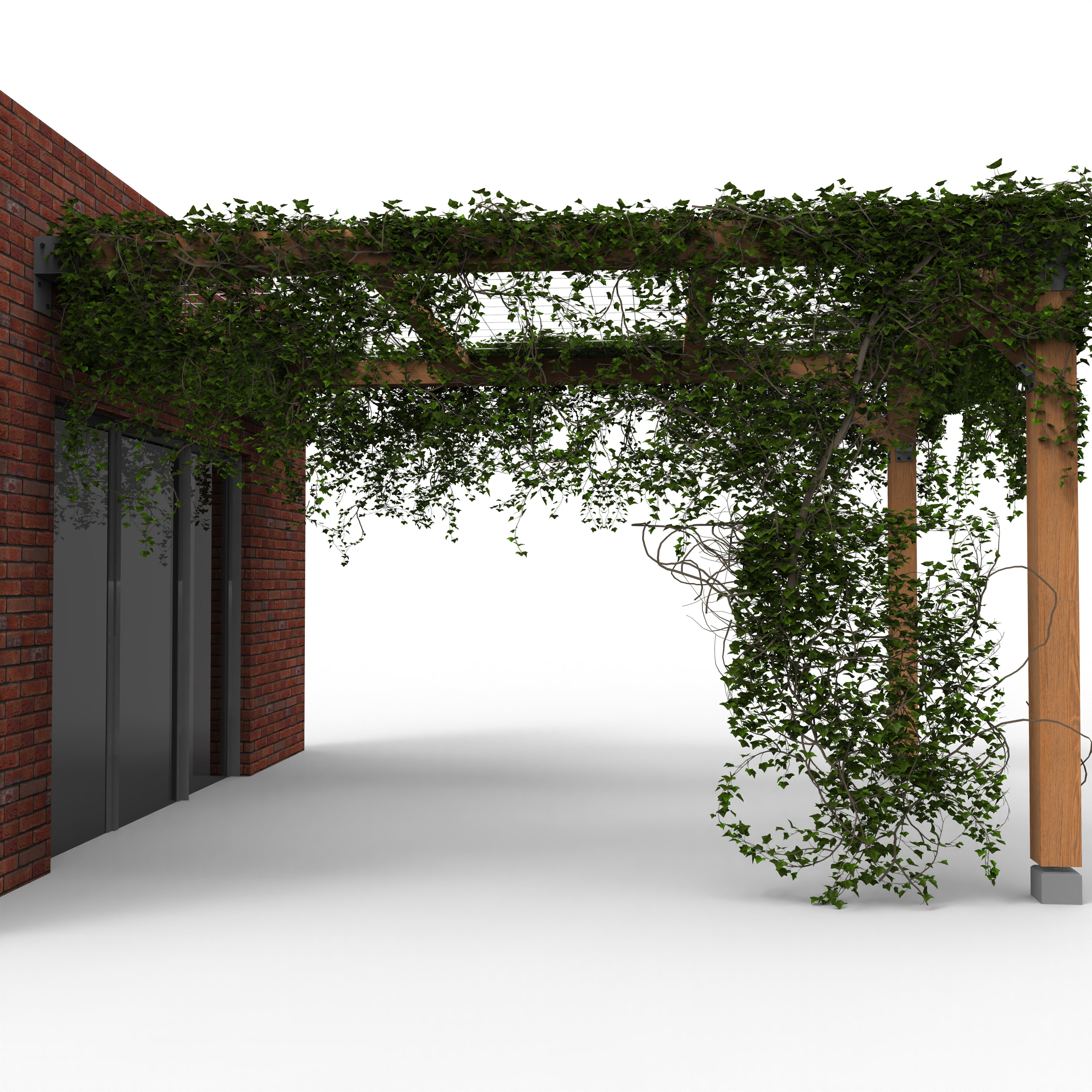 Pergola met Klimplant en Gaasdak | Gevel gemonteerd - Rijpex