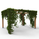 Pergola met Klimplant en Gaasdak | Vrijstaand - Rijpex
