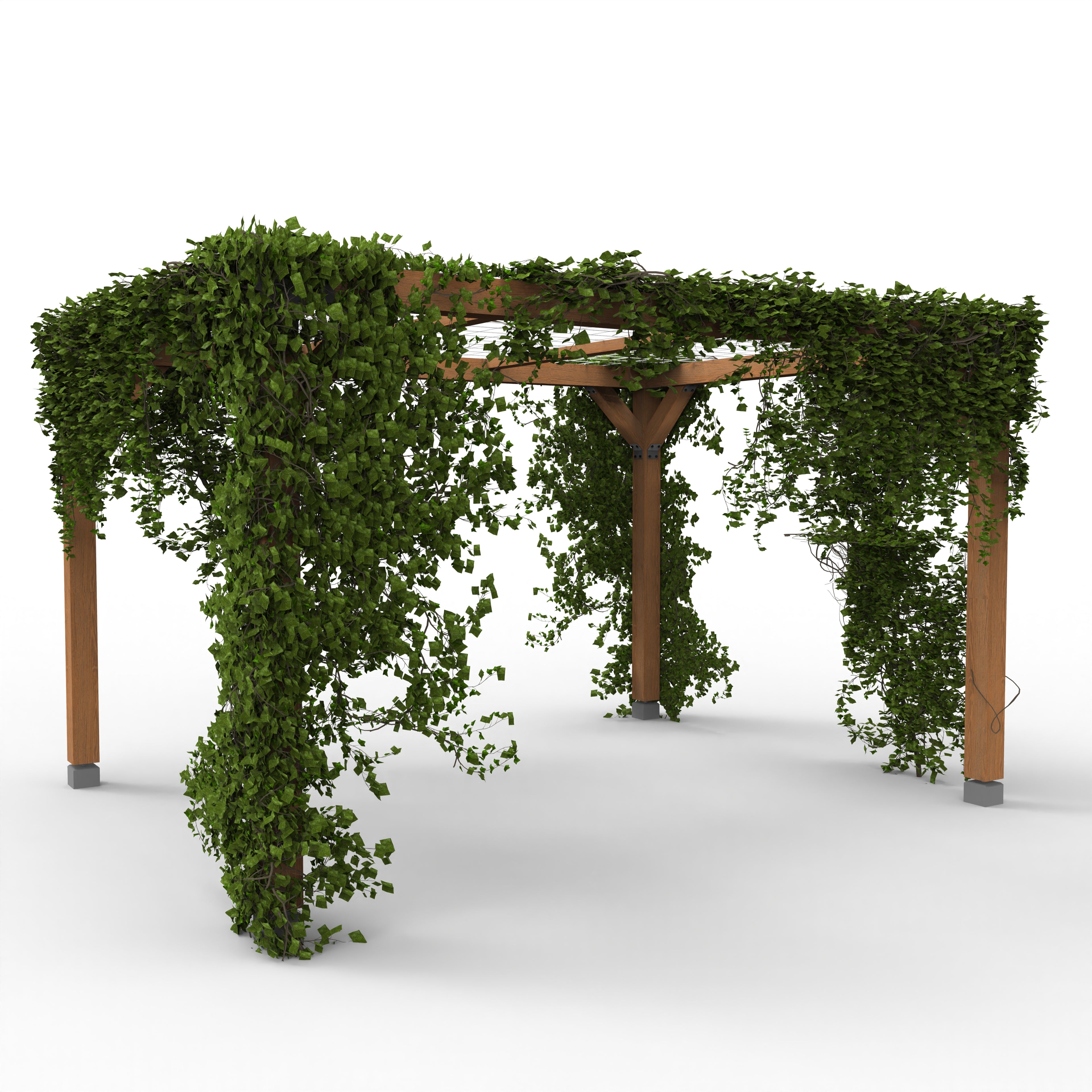 Pergola met Klimplant en Gaasdak | Vrijstaand - Rijpex