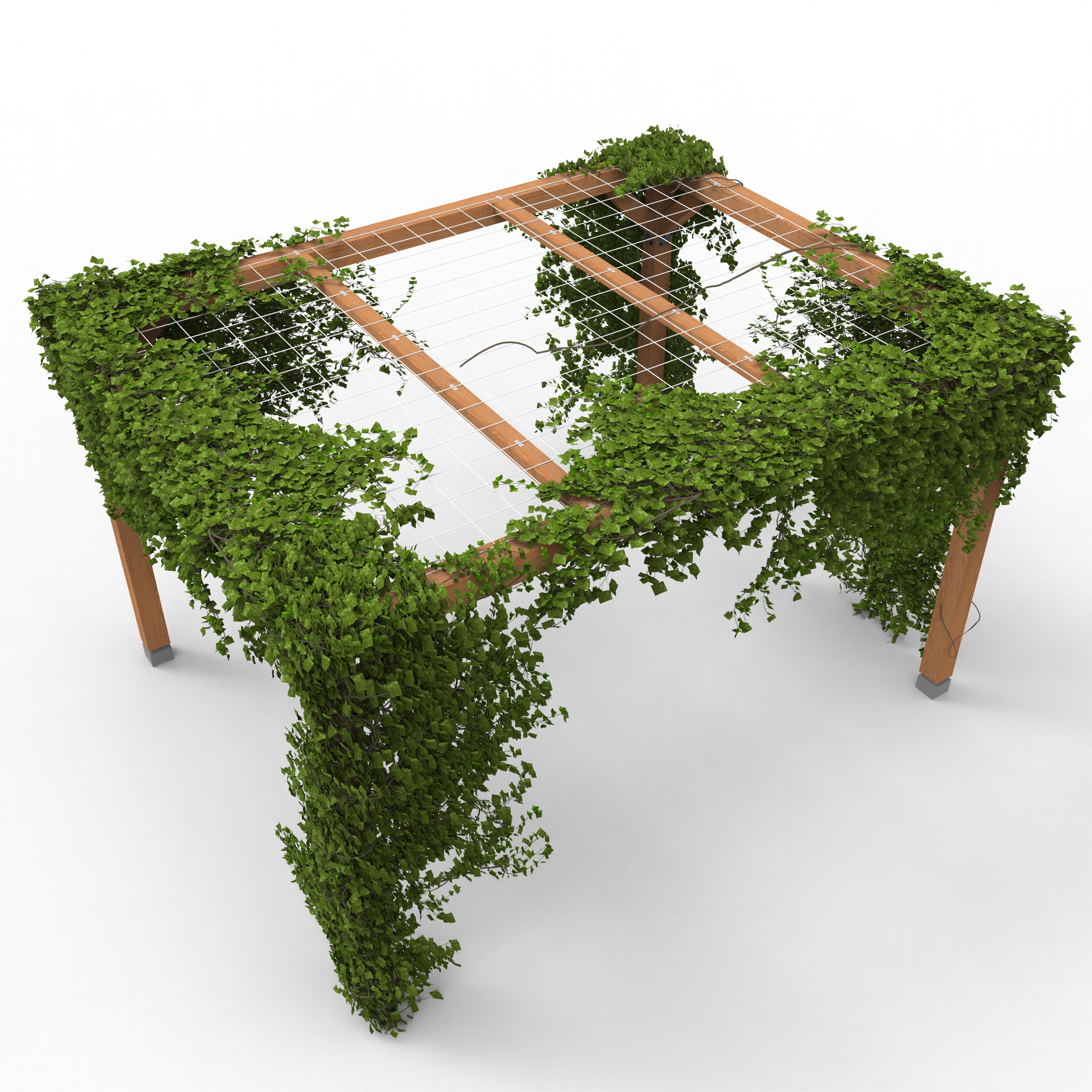 Pergola met Klimplant en Gaasdak | Vrijstaand - Rijpex