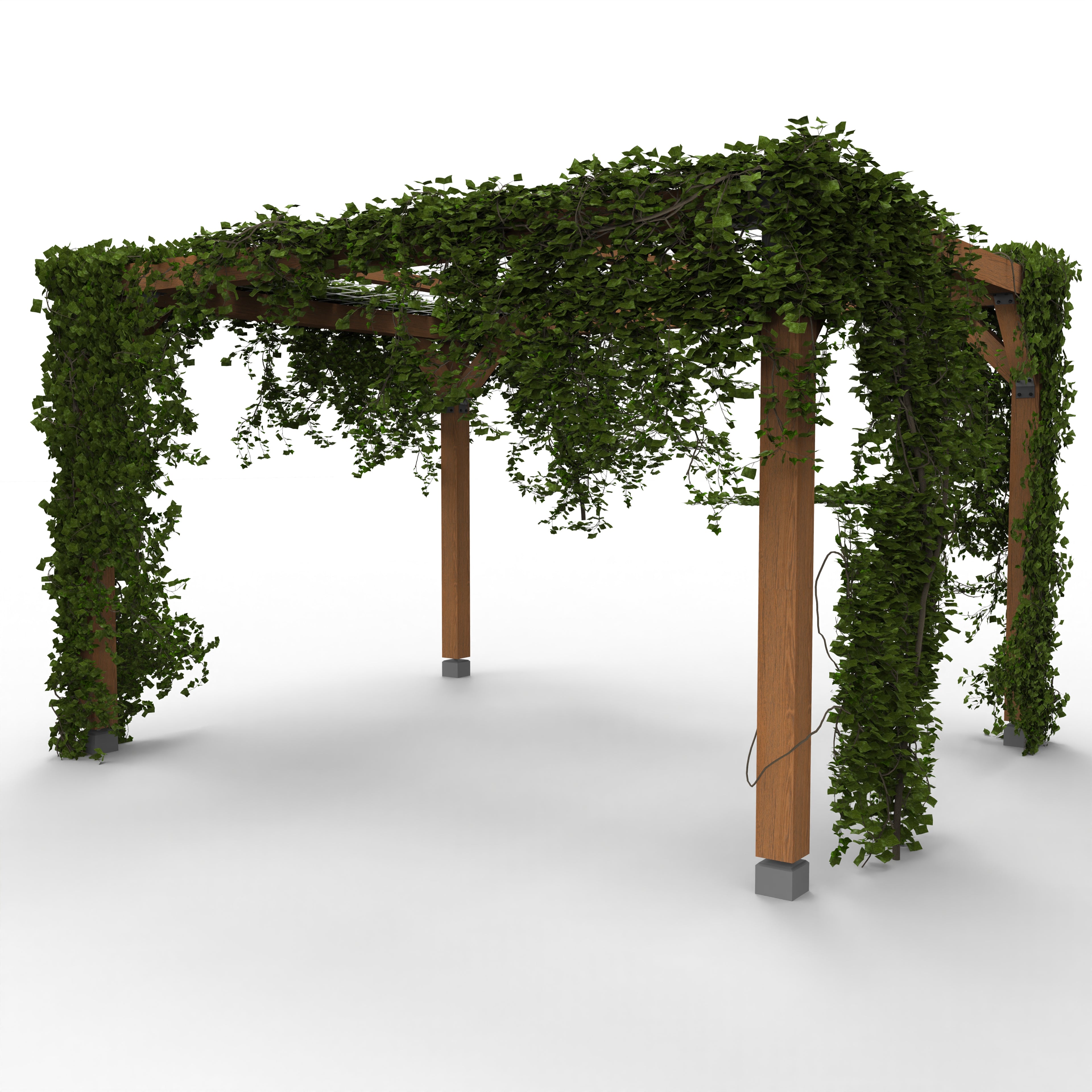 Pergola met Klimplant en Gaasdak | Vrijstaand - Rijpex