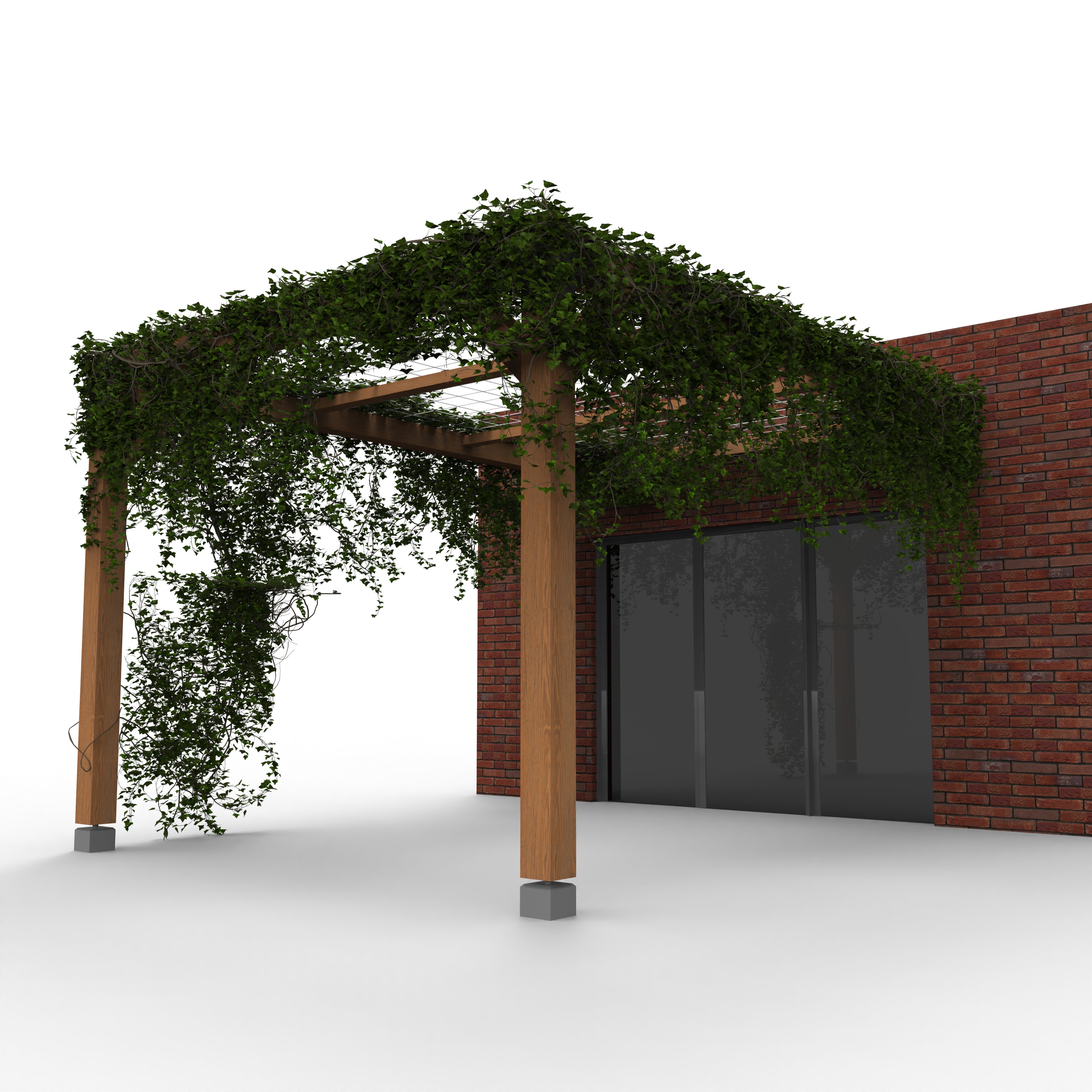 Pergola met Klimplant en Gaasdak | Gevel gemonteerd - Rijpex