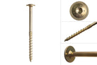Tellerkopschroef 8,0 x 100 mm Torx - Schoor schroeven - per stuk - Rijpex